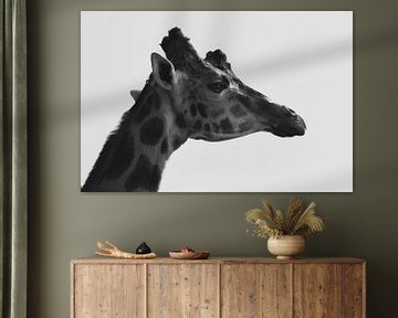 Zijaanzicht portret van giraf in zwart-wit