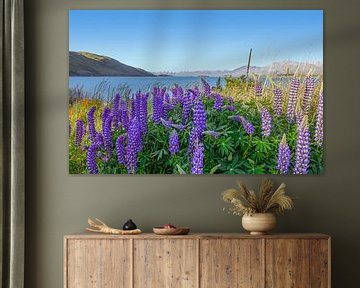 Fleurs de lupin au lac Pukaki sur Achim Prill