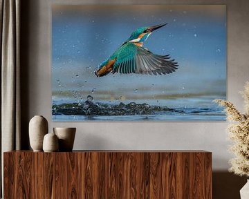 IJsvogel - Uit het water zonder vis van IJsvogels.nl - Corné van Oosterhout