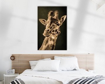 Giraffe Porträt mit olivgrünem Hintergrund