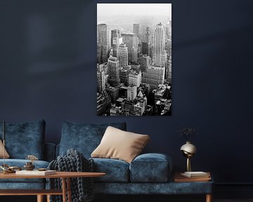 New York City vanaf de top van de Empire State van Carolina Reina Photography