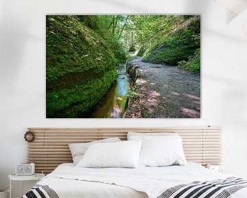 Sentier de randonnée et ruisseau à travers les gorges du Dragon près d'Eisenach sur Heiko Kueverling