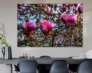 Magnolia flower still life