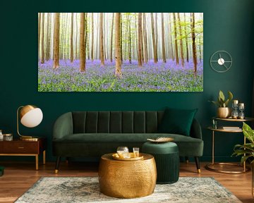 Forêt de Bluebell au printemps sur Sjoerd van der Wal Photographie