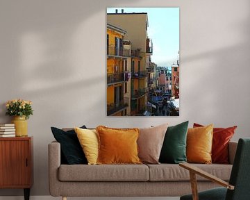 Mooie Straat met Gekleurde Huisjes in Manarola, Cinque Terre, Italië van Shania Lam