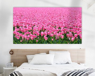 Bloeiende roze Tulpen van Sjoerd van der Wal