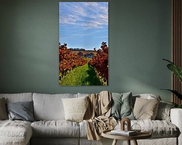 Vineyards in autumn colors in Cape Winelands by Werner Lehmann