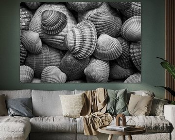 Shells: black, white and gray by Marjolijn van den Berg