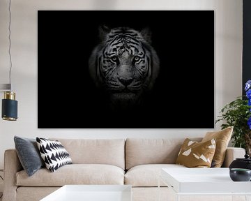 Weißer bengalischer Tiger auf schwarzem Hintergrund von Leon Brouwer