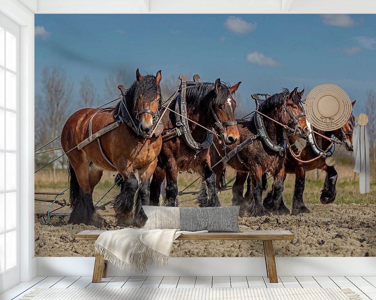 Raumvorschau
