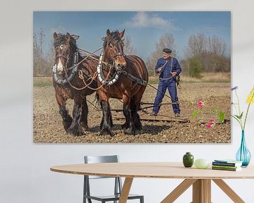 Boer met trekpaarden in Zeeland van Lisette van Peenen