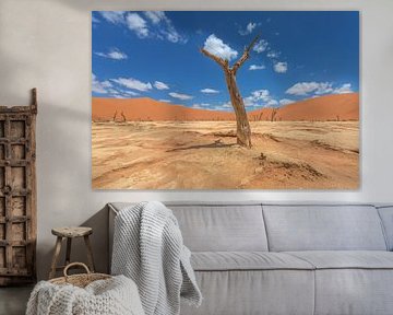 Deadvlei Namibië, zuidelijk Afrika van lousfoto