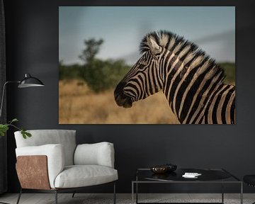 Photo portrait de zèbre dans le parc national d'Etosha sur lousfoto