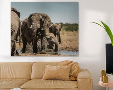 Elephant herd at waterhole in Etosha National Park by lousfoto