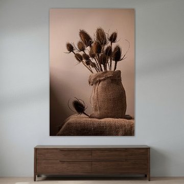 Kaardenbollen stilleven