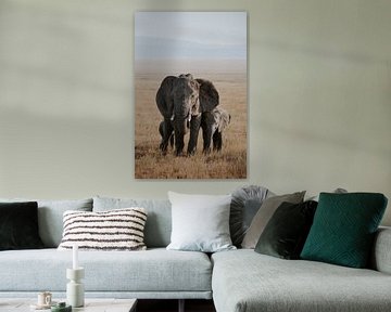 Olifanten in Tanzania | Reisfotografie | Wanderlust | Safari | Wall ar van Alblasfotografie