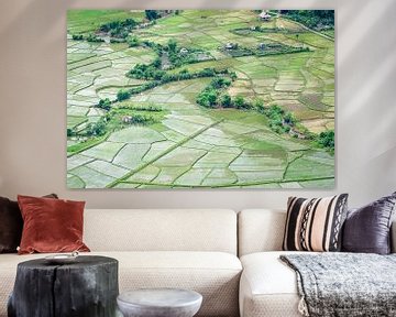 Reisfelder in Vietnam - Ansicht von oben von Wijnand Loven