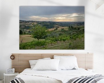 Heuvels van Piemonte Italië  met groene wijngaarden