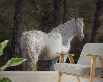 ...het witte paard van Nienke Bot