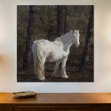 pégase sur Nienke Bot