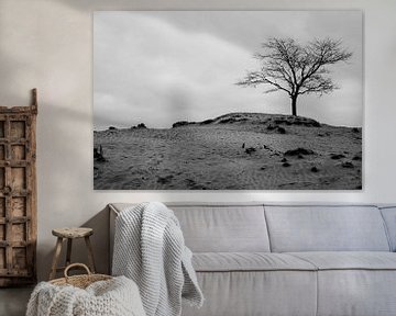 Un arbre solitaire en noir et blanc sur une dune de sable.