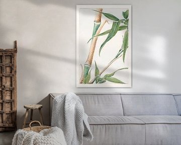 Japans Bamboe schilderij door Megata Morikaga. van Dina Dankers
