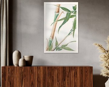 Japanese Bamboo painting by Megata Morikaga. by Dina Dankers