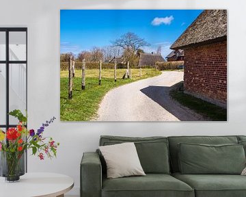 Path with fence and houses in Ahrenshoop on Fischland-Darß by Rico Ködder