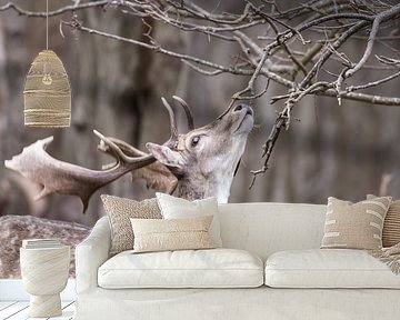 Do I smell summer there? by Louise Poortvliet