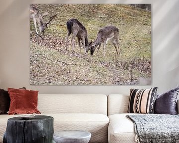 Frolicking young fallow deer by Louise Poortvliet