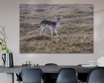 Jong damhertje van Louise Poortvliet