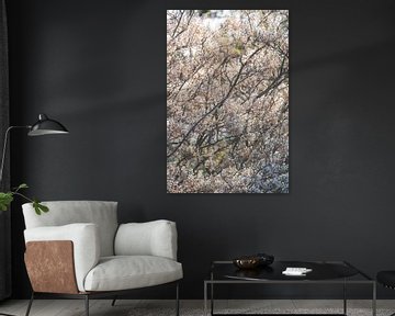 Blossom in Zeeland by Louise Poortvliet