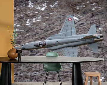 Northrop F-5E van de Zwitserse Luchtmacht. van Jaap van den Berg