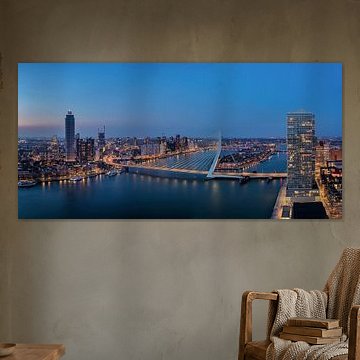 view on the Erasmusbridge