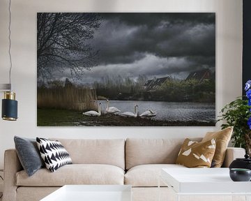 Swan Lake by Elianne van Turennout