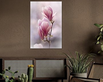 Magnolias von Lillypix Art