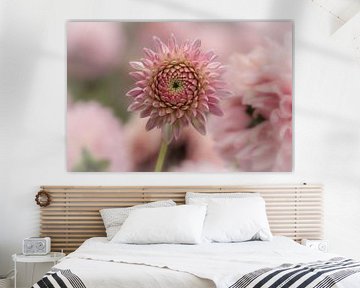 Dahlias sur Lillypix Art