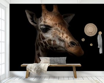 Giraf op zwarte achtergrond