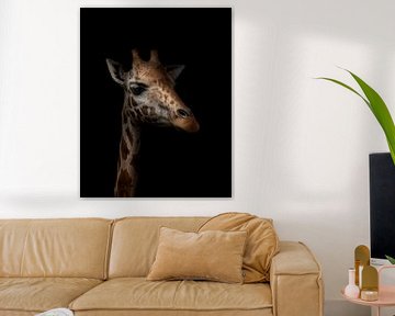 Giraf op zwarte achtergrond van Leon Brouwer