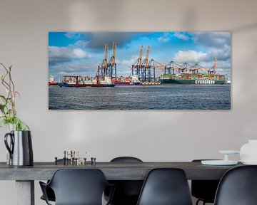 Schepen bij de Euromax-containerterminal in de haven van Rotterdam