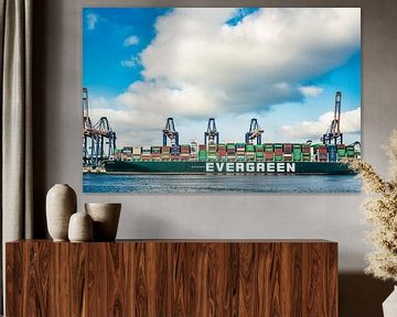 Containerschip Ever Golden van Evergreen Lines in de Rotterdamse haven van Sjoerd van der Wal