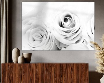 Roses en noir et blanc