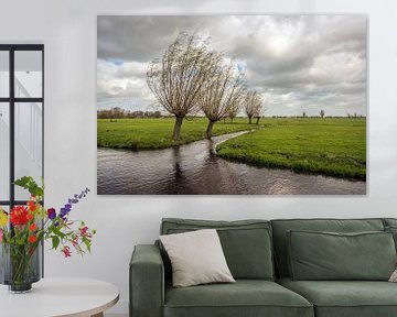 Niederländische Polderlandschaft an einem stürmischen Tag
