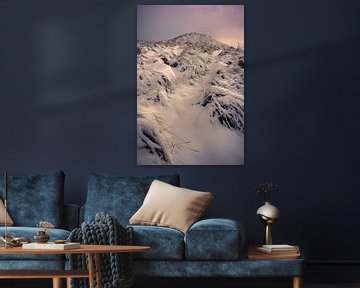 Berg met sneeuw - paarse gloeWinterlandschap in de duinen van Nederlan van Jolanda Aalbers