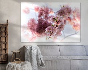 Filigree cherry blossoms in spring colors by marlika art