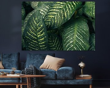Browse pattern - moody by Laura Slaa
