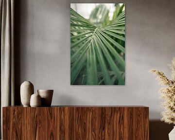 Wild palm - moody green by Laura Slaa