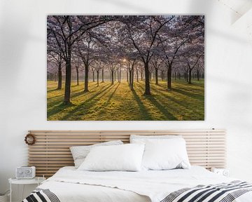 Zonsopkomst in het Kersenbloesempark van het Amsterdamse Bos van Jeroen de Jongh Fotografie