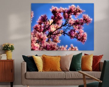 Magnolia bloesem tak