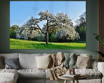 bloeiende appelboom in de lente van Werner Lehmann